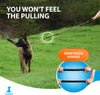 - Heavy Duty Bungee Rope Leash for Large and Medium Dogs - No Pull, Shock Absorber Long Dog Training Lead - No Slip Reflective Line for outside (5.5 Ft Bungee Leash)
