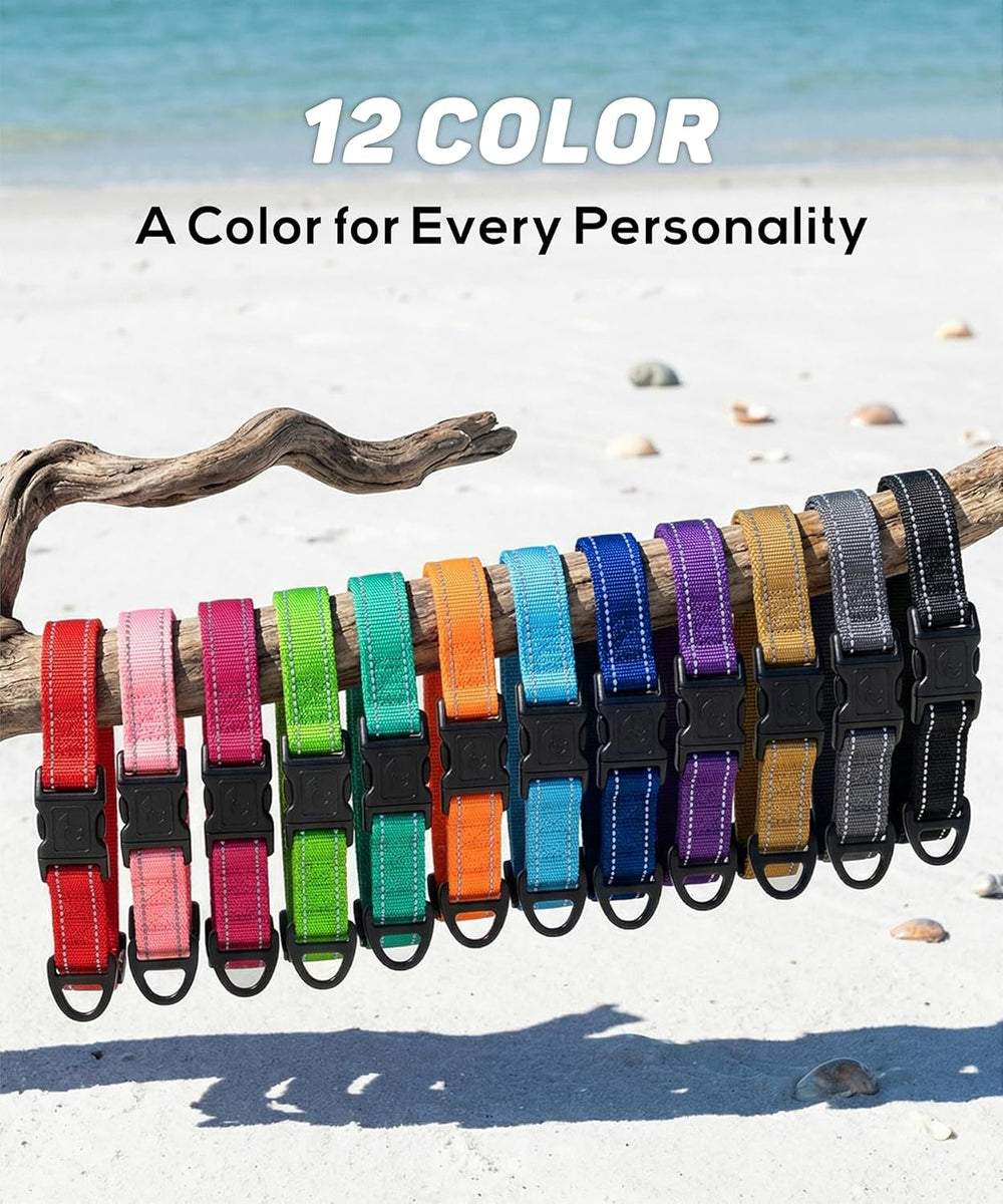 Small Dog Collar, Reflective Puppy Collar, Sky Blue, 5/8" Width | Lightweight, Nylon Collar for Puppies and Small Dogs, Adjustable Length, 12 Color Choices, Reflective for Evening Walks
