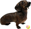 X-Small Dog Tennis Balls 1.5" Pack of 12 | Puppy Mini Fetch, Pet Little Tennis Balls, Yellow/Pink