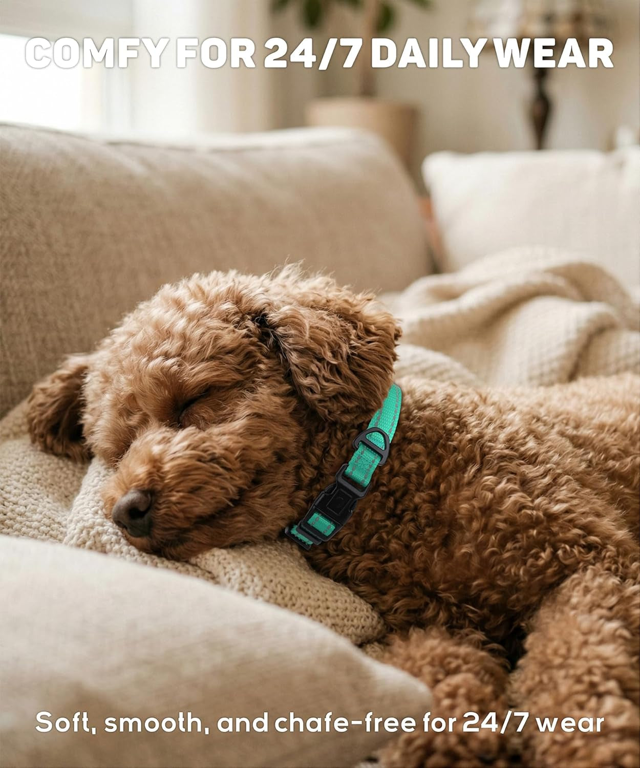 Small Dog Collar, Reflective Puppy Collar, Sky Blue, 5/8" Width | Lightweight, Nylon Collar for Puppies and Small Dogs, Adjustable Length, 12 Color Choices, Reflective for Evening Walks