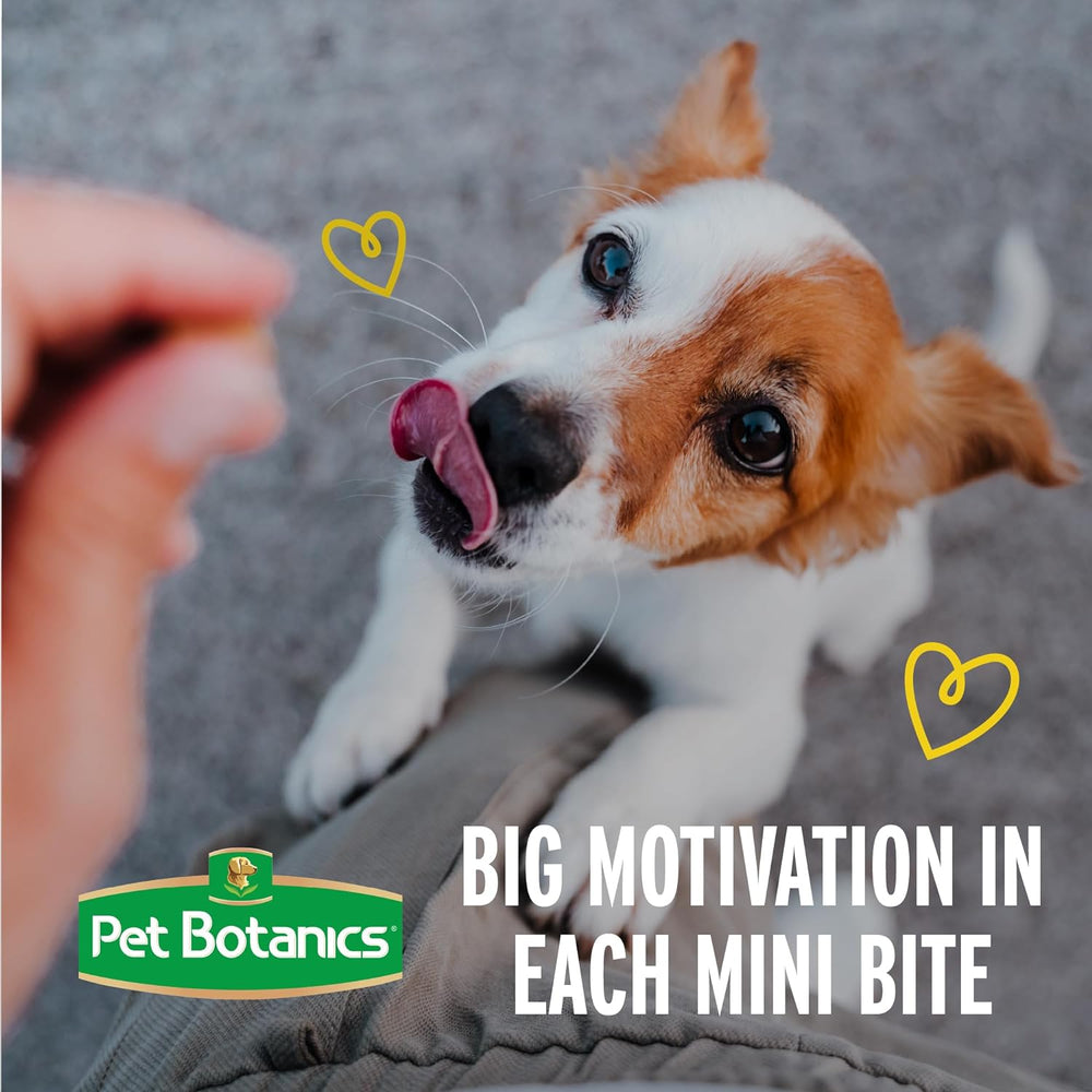 10 Oz. Pouch Training Reward Mini Soft & Chewy, Chicken Flavor, with 500 Treats per Bag, the Choice of Top Trainers | High-Value Reward for Positive Reinforcement, Botanifits Botanical Blend, Only 1.5 Calories per Treat, No BHA or BHT